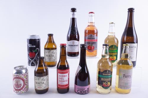 TEN BOTTLES AND TWO CANS CIDER AND PERRY
