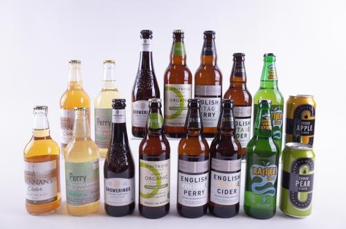 FOURTEEN BOTTLES AND TWO CANS CIDER AND PERRY