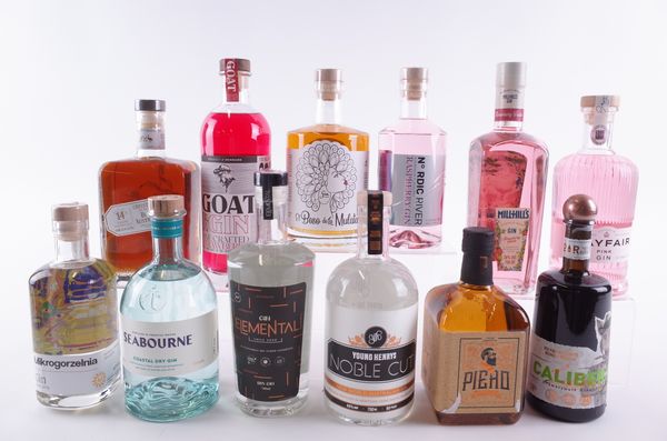 TWELVE BOTTLES GIN