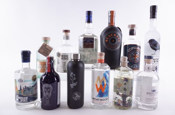 TWELVE BOTTLES GIN