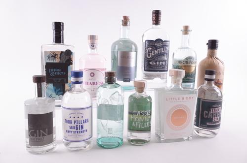 TWELVE BOTTLES GIN