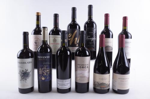 TWELVE BOTTLES ARGENTINIAN RED WINE