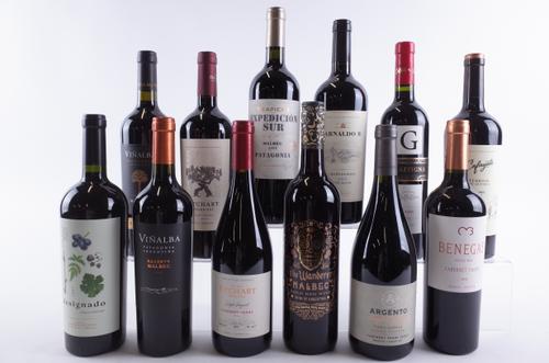 TWELVE BOTTLES ARGENTINIAN RED WINE