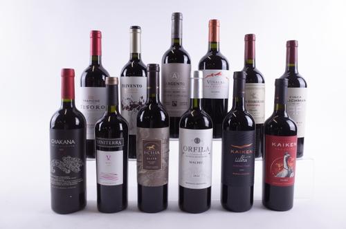 ELEVEN BOTTLES ARGENTINIAN MALBEC AND ONE CABERNET FRANC