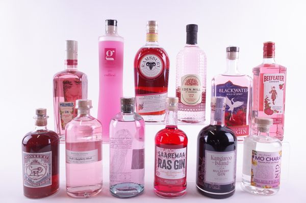 TWELVE BOTTLES FLAVOURED GIN