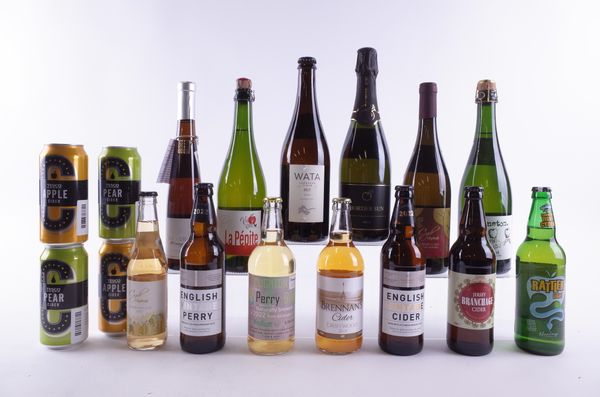 THIRTEEN BOTTLES AND FOUR CANS OF CIDER AND PERRY