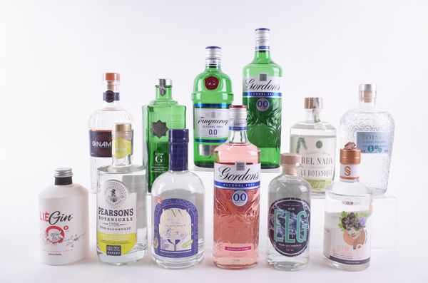 TWELVE BOTTLES GIN ALTERNATIVES