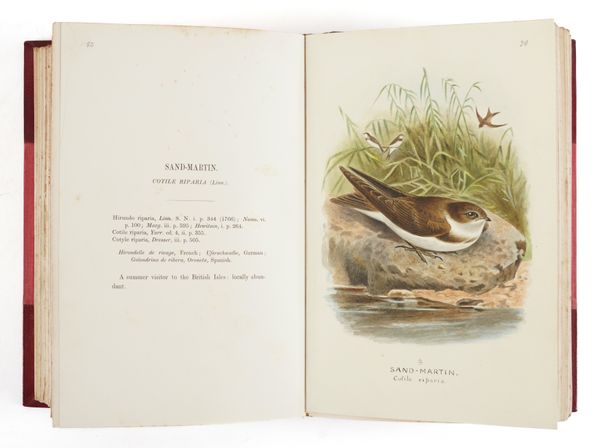 LILFORD, Lord (1833-96). Coloured Figures of the Birds of the British Islands, London, 1885-97, 7 volumes, large 8vo, portrait, 421 coloured plates [see important note below], FINELY BOUND in contemporary red half morocco gilt. [?]Mixed editions. (7)