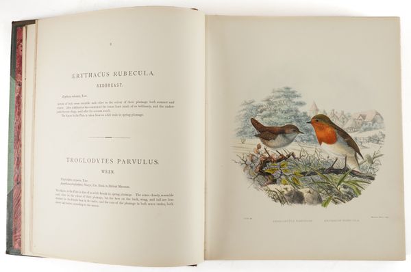 WYATT, C. W. (1842-1900). British Birds, London, 1894-99, 2 volumes bound in one, 4to, 67 fine hand-coloured lithographed plates by C. W. Wyatt (some very faint spotting and staining), contemporary green half morocco gilt (spine faded). FIRST EDITION.