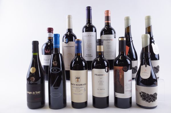 TWELVE BOTTLES SPANISH RED WINE