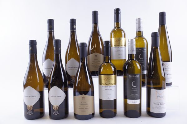 TWELVE BOTTLES ITALIAN WHITE WINE