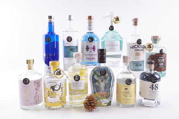 TWELVE BOTTLES GIN