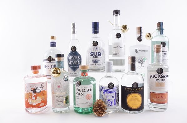 TWELVE BOTTLES GIN