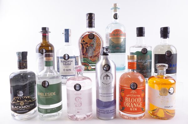 TWELVE BOTTLES GIN