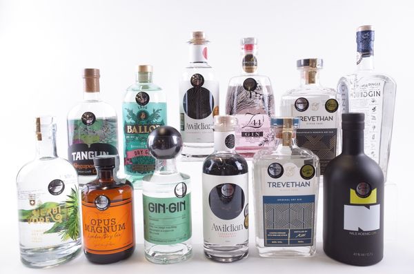 TWELVE BOTTLES GIN