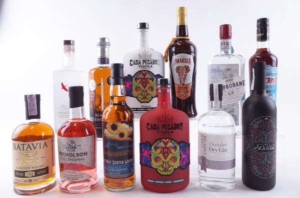 TEN BOTTLES VARIOUS SPIRITS, ONE FRUIT WINE AND ONE ALCOHOL-FREE APERITIF