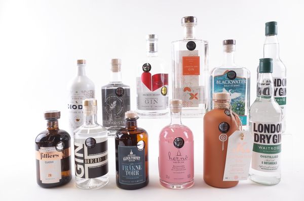 TWELVE BOTTLES GIN