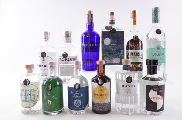 TWELVE BOTTLES GIN