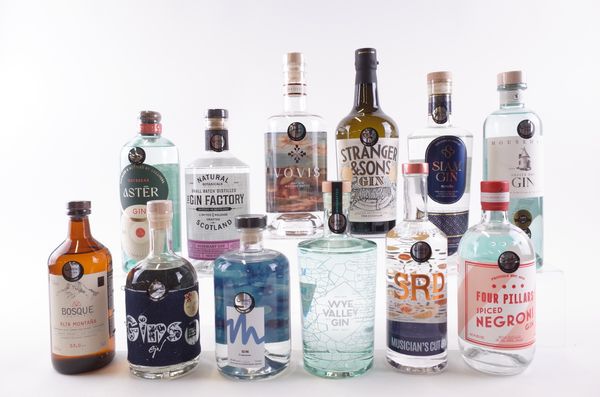 TWELVE BOTTLES GIN