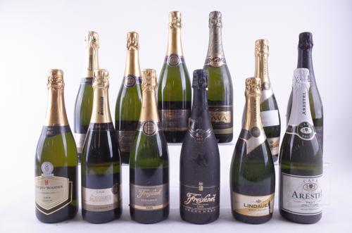 TWELVE BOTTLES CAVA AND SPARKLING WINE