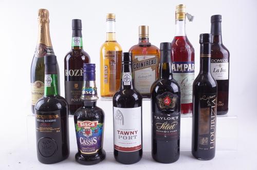 TEN BOTTLES VARIOUS SPIRITS AND FORTIFIED WINES AND ONE CHAMPAGNE