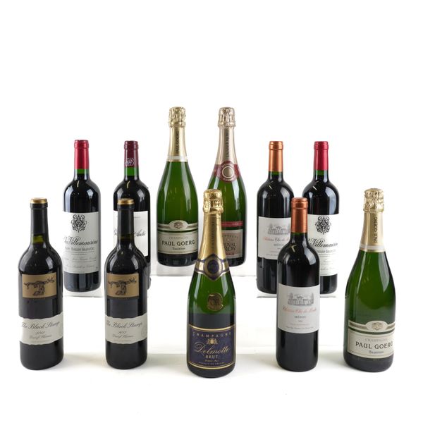 SEVEN BOTTLES OF RED WINE AND FOUR BOTTLES OF CHAMPAGNE (11)