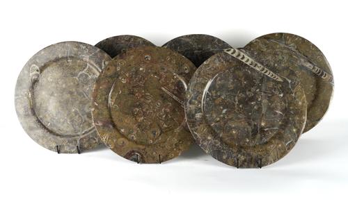 SIX LARGE FOSSIL SERVING PLATES WITH ORTHOCERAS AND GONIATITE INCLUSIONS (6)