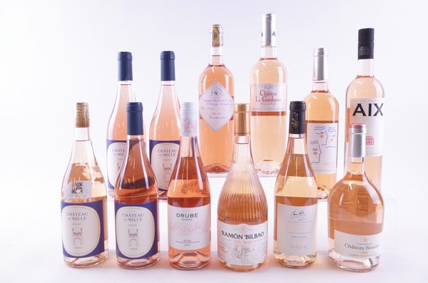 NINE BOTTLES FRENCH AND THREE SPANISH ROSÉ WINE