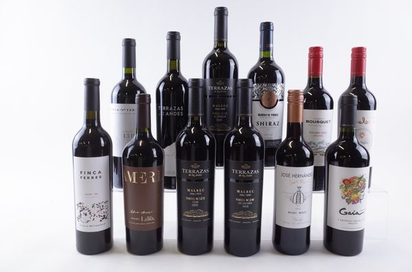 TWELVE BOTTLES ARGENTINIAN RED WINE