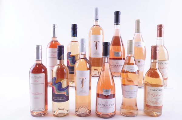 12 BOTTLES CHILEAN, FRENCH AND ITALIAN ROSÉ WINE