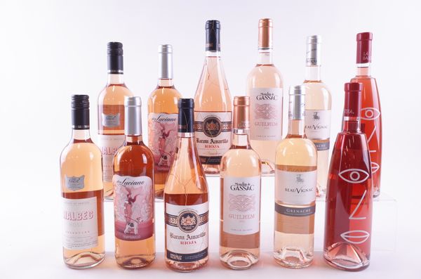 12 BOTTLES ARGENTINIAN AND SPANISH ROSÉ WINE