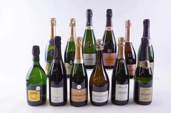 ELEVEN BOTTLES CHAMPAGNE AND ONE SPARKLING WINE