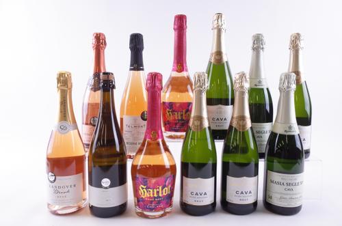 ELEVEN BOTTLES SPARKLING WINE AND ONE CHAMPAGNE