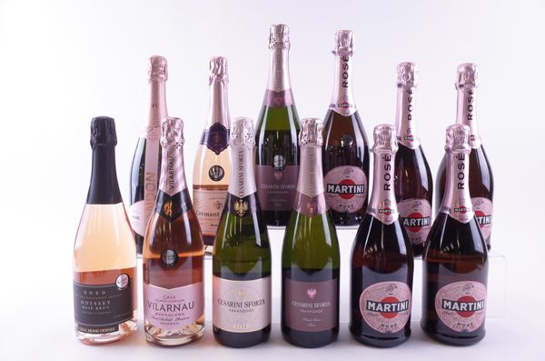 TWELVE BOTTLES ITALIAN, FRENCH, SPANISH, CANADIAN AND ASIAN ROSÉ SPARLING WINE