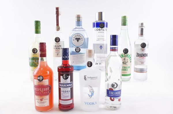 TEN BOTTLES VODKA