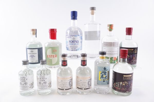 TWELVE BOTTLES GIN