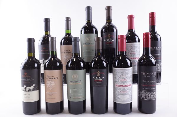 TWELVE BOTTLES ARGENTINIAN RED WINE