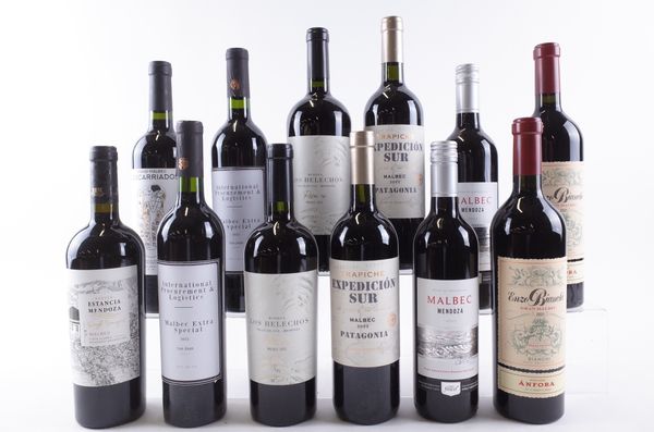 TWELVE BOTTLES ARGENTINIAN MALBEC