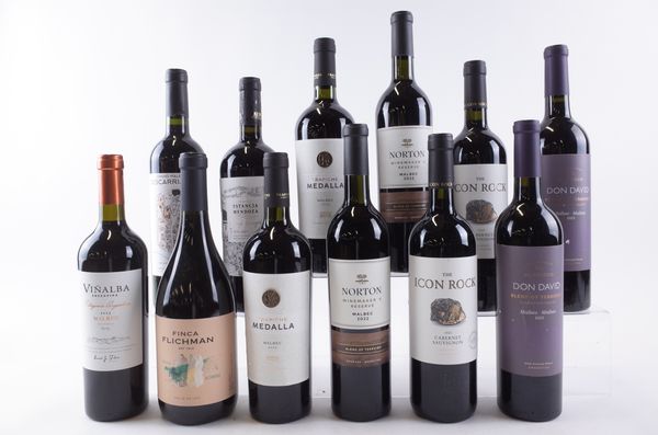 TWELVE BOTTLES ARGENTINIAN RED WINE