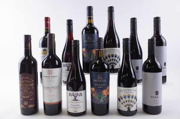 TWELVE BOTTLES NEW ZEALAND, CHILEAN, MEXICAN AND SOUTH AFRICAN RED WINE