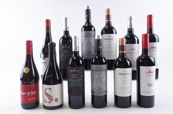 TWELVE BOTTLES SPANISH RED WINE