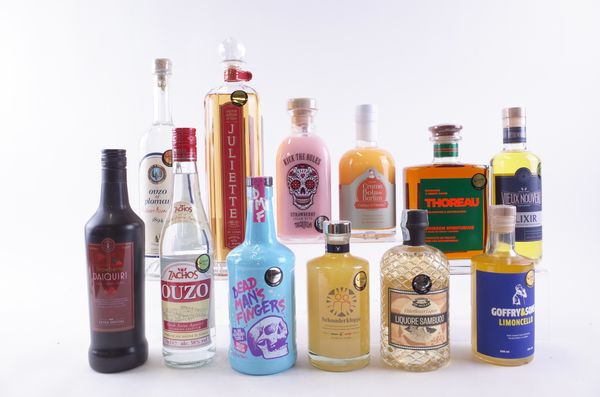 TWELVE BOTTLES VARIOUS SPIRITS AND LIQUEURS