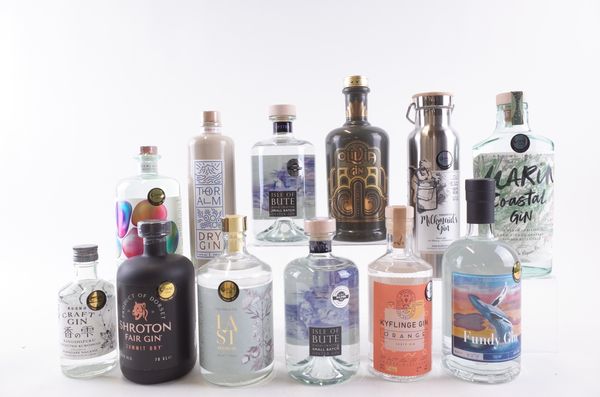 TWELVE BOTTLES GIN