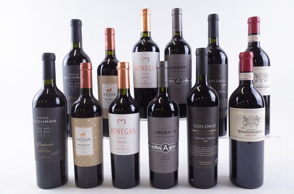 TWELVE BOTTLES ARGENTINIAN RED WINE