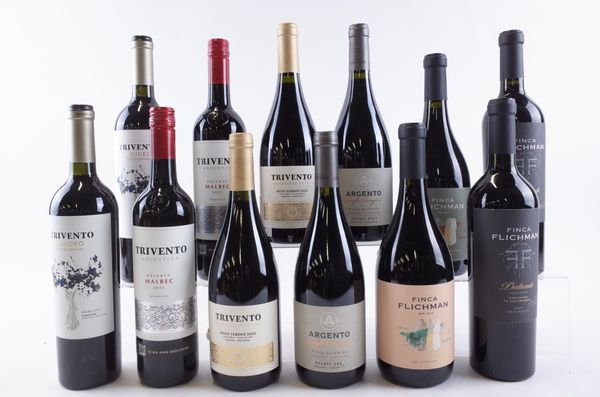 TWELVE BOTTLES ARGENTINIAN RED WINE