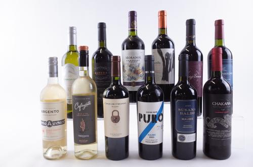 NINE BOTTLES ARGENTINIAN RED AND THREE WHITE WINE