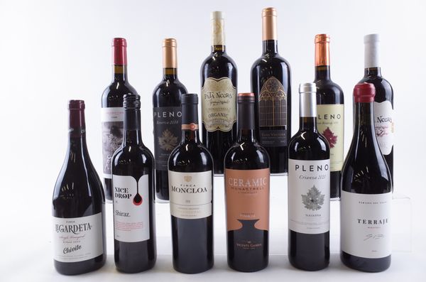 TWELVE BOTTLES SPANISH RED WINE