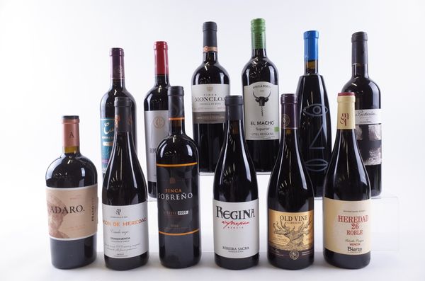 TWELVE BOTTLES SPANISH RED WINE