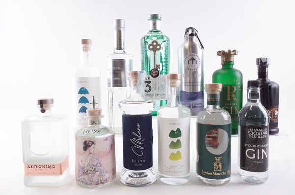 TWELVE BOTTLES GIN