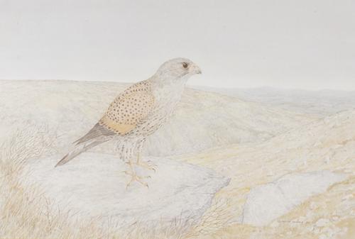 ***HAVE PERMISSION TO DONATE TO CHAIRTY*** MARTIN BROOKS (20TH CENTURY) (2)